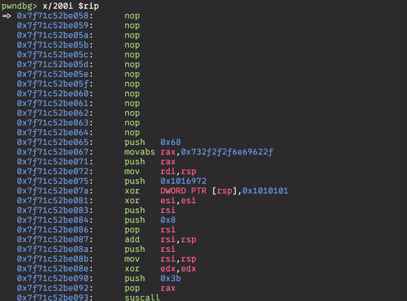 shellcode