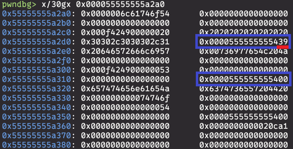 overwritten_pointer